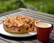 Silk Chocolate Strawberry-Rhubarb Crumble Bars: Recipe and Baking Tips