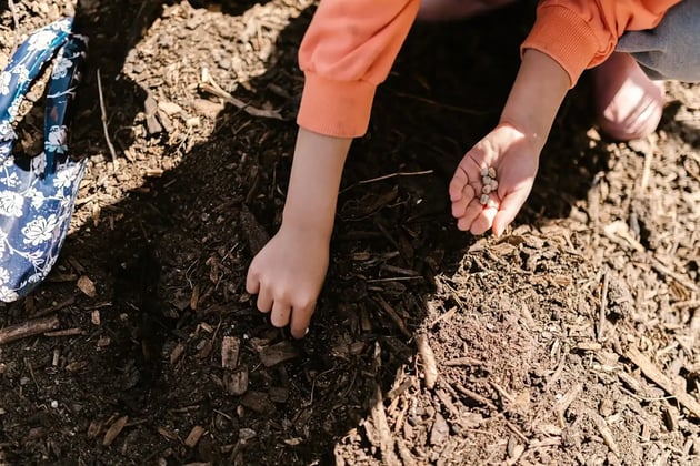 10 Reasons Gardening is Great for Kids' Mental Well-being