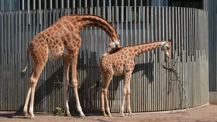 7 Interesting Facts for Kids That Will Spark Curiosity Instantly