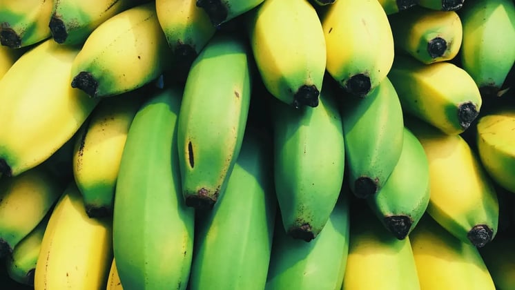 7 Summer Fruits In India: Teach Your Child About Regional Produce