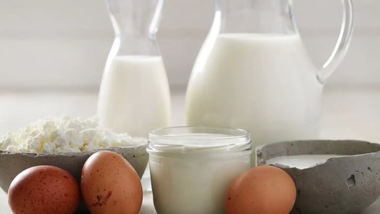 7 Top Vitamin B12-Rich Foods Teens and Adults Should Include in Their Diet