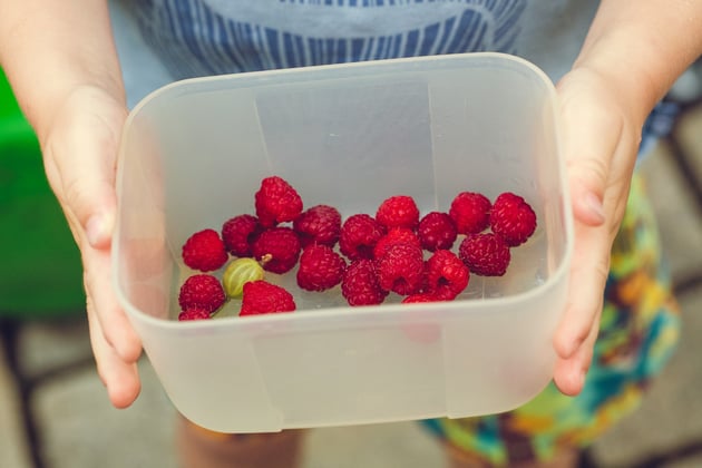 Food Fun Facts: Learning About Nutrients and a Balanced Diet in Class 2