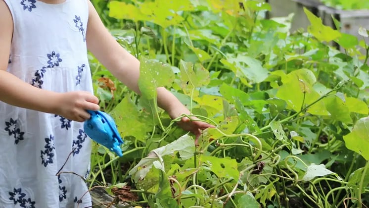 Gardening Activities for Toddlers: Simple and Fun Ideas