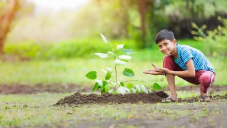 Gardening as a Tool for Teaching Patience to Kids