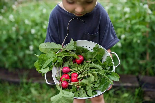 Green leafy vegetables: Why these veggies need to be on your kid's plate