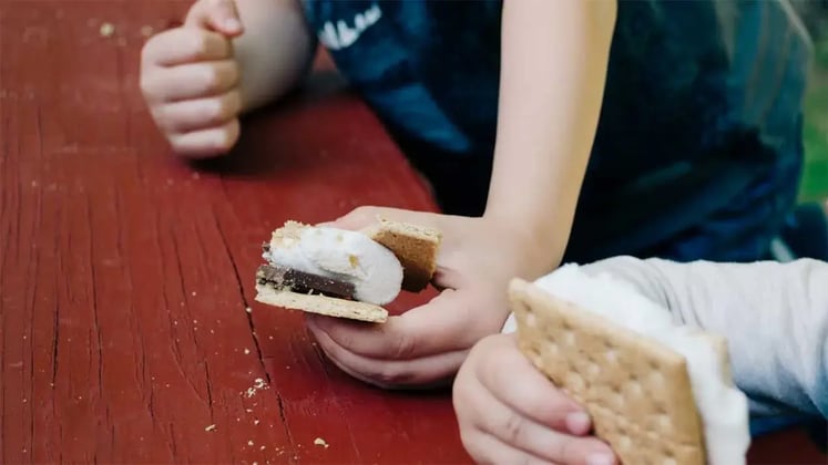 Healthy Dessert Ideas for Children's Lunch Boxes in Summers