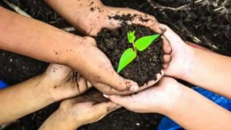 How Gardening Can Improve Kids' Fine Motor Skills