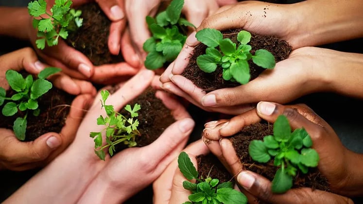 How To Teach Kids About Environmental Conservation Through Gardening