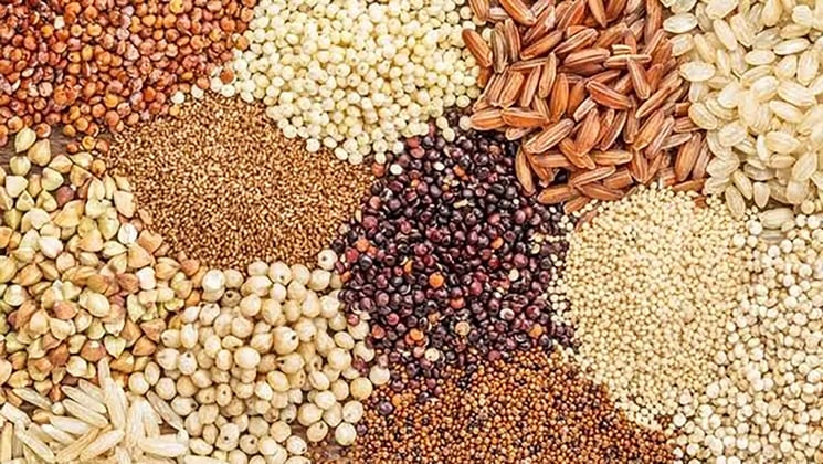 Incorporating Whole Grains Into Kids’ Meals