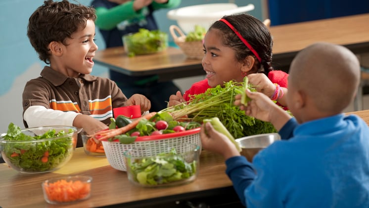 The Impact of Micronutrient Deficiencies on Child Development and Strength