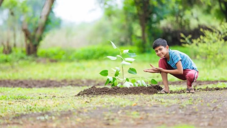 Teaching Kids About Plant Life Cycles Through Gardening
