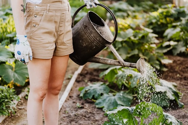 The Benefits of Gardening for Children's Physical Health