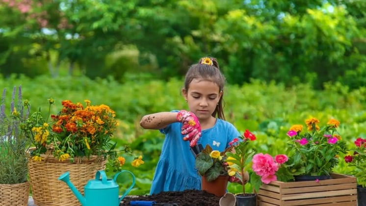 The Impact Of Gardening Activity On Children's Sleep Patterns