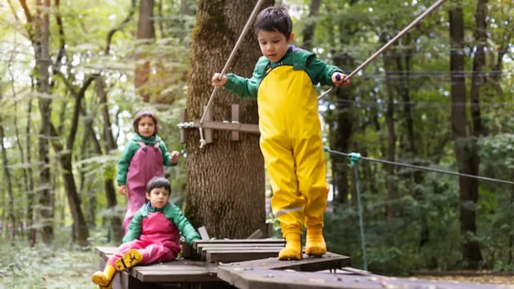 The Role of Adventure Parks in Encouraging Physical Activity