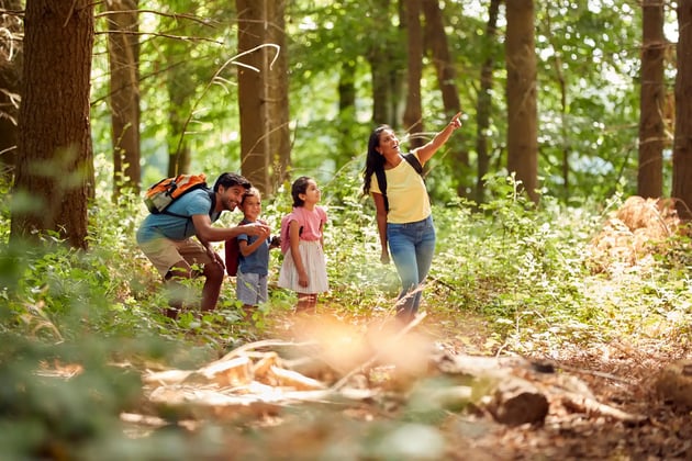 The Role of Family Walks in Promoting Bonding and Fitness With Kids