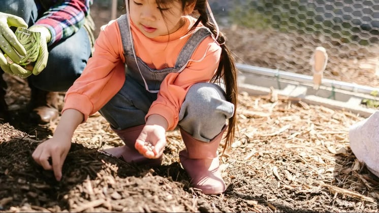 The Role of Gardening in Reducing Childhood Stress