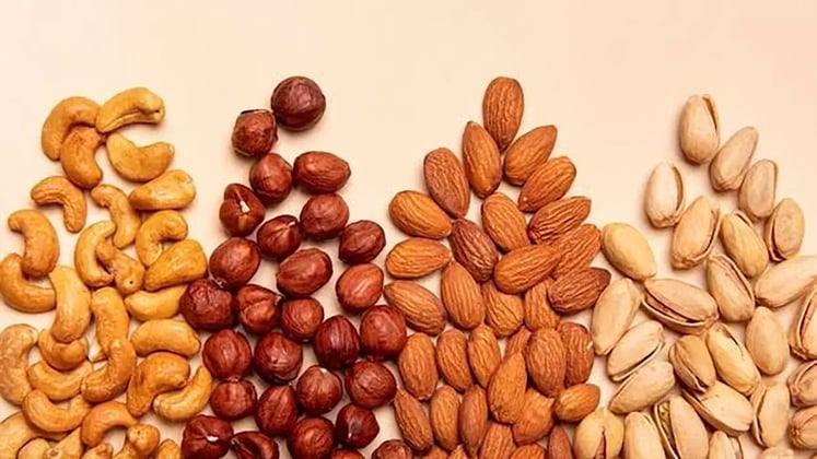 The Role Of Protein In Kids’ Healthy Eating Habits