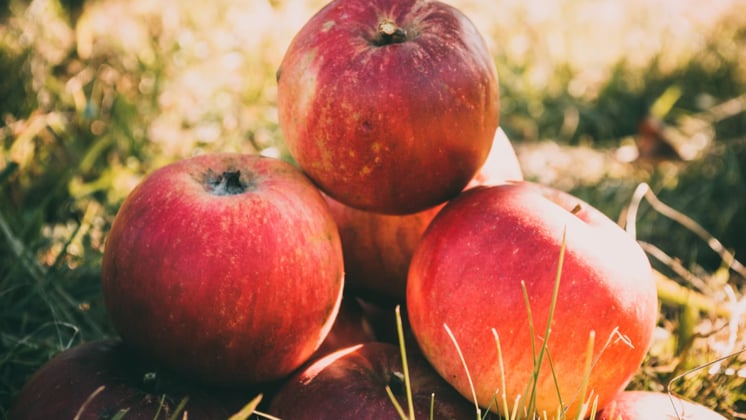 Top 7 Vitamin B12-Rich Fruits Your Kids Will Love