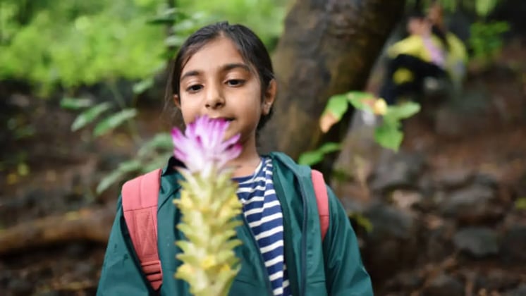 Understanding the 5 Senses for Kids: Fun Ways to Learn and Explore