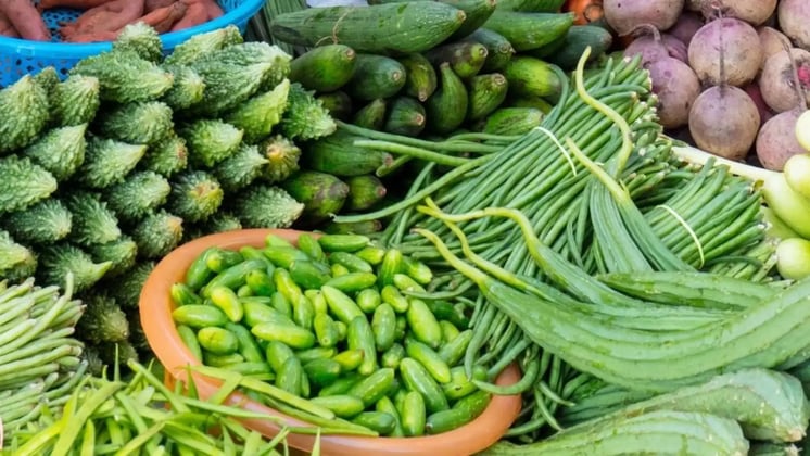 Understanding Your Child's Nutritional Needs at Different Stages of Growth