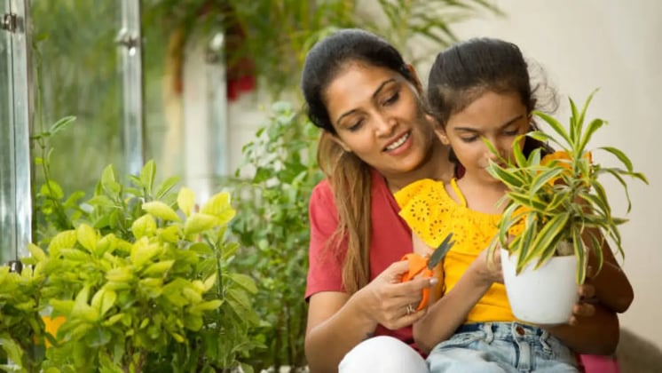 Top Gardening Tips for Urban Families with Limited Space