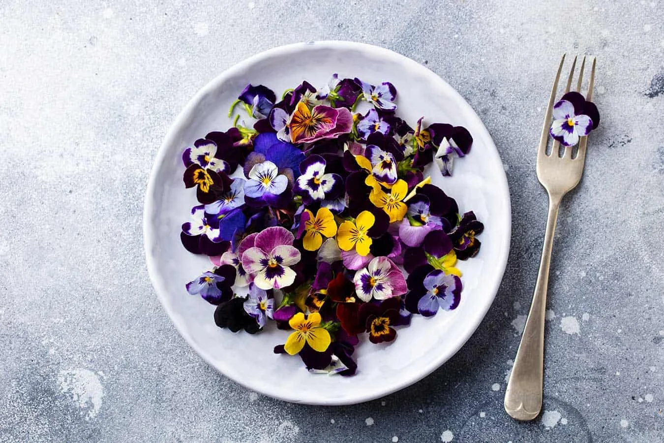common-edible-flowers-for-decorating-desserts