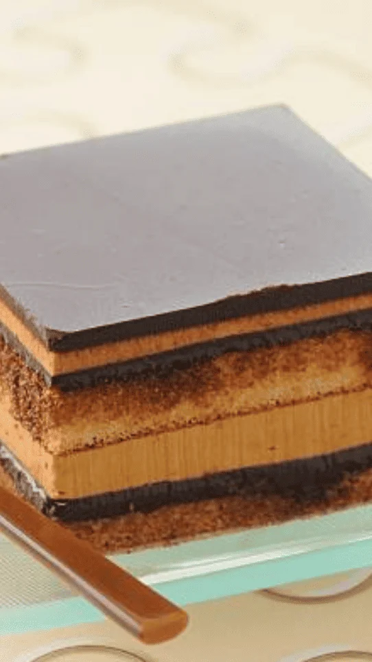 Classic French Opera Cake Recipe by Arjyo Banerjee - NDTV Food