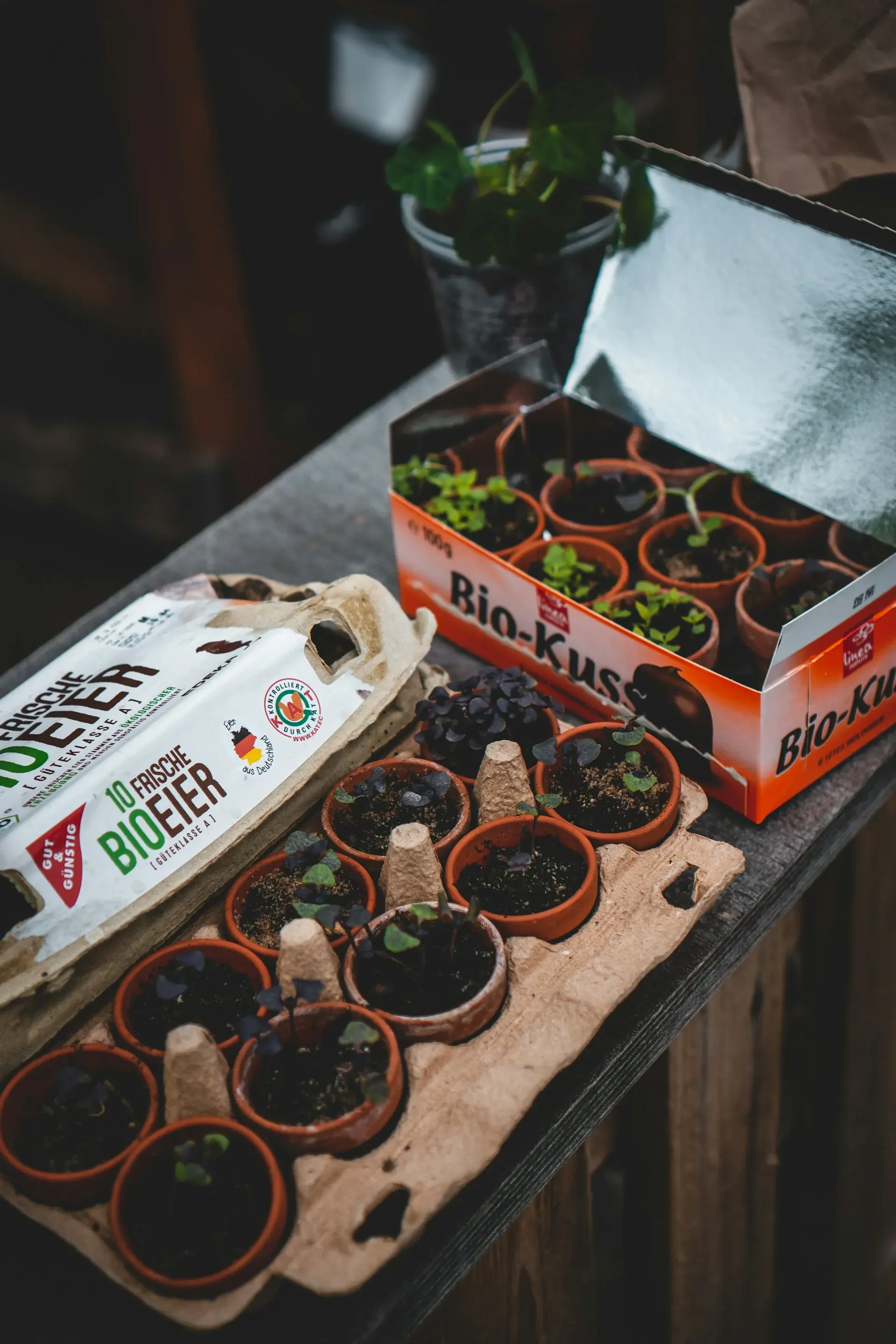 recycling