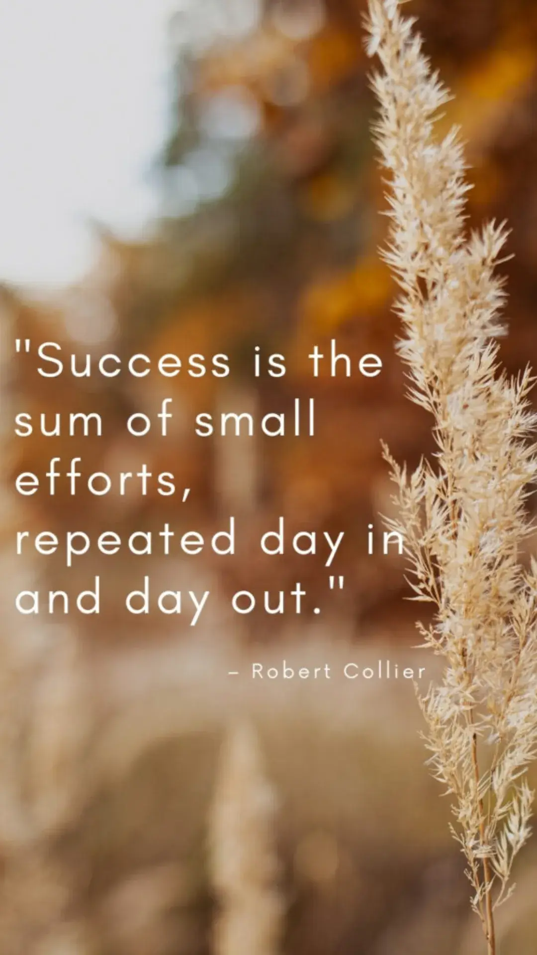 Powerful Words, Stronger Mind: 7 Exam Quotes to Inspire Success - 
