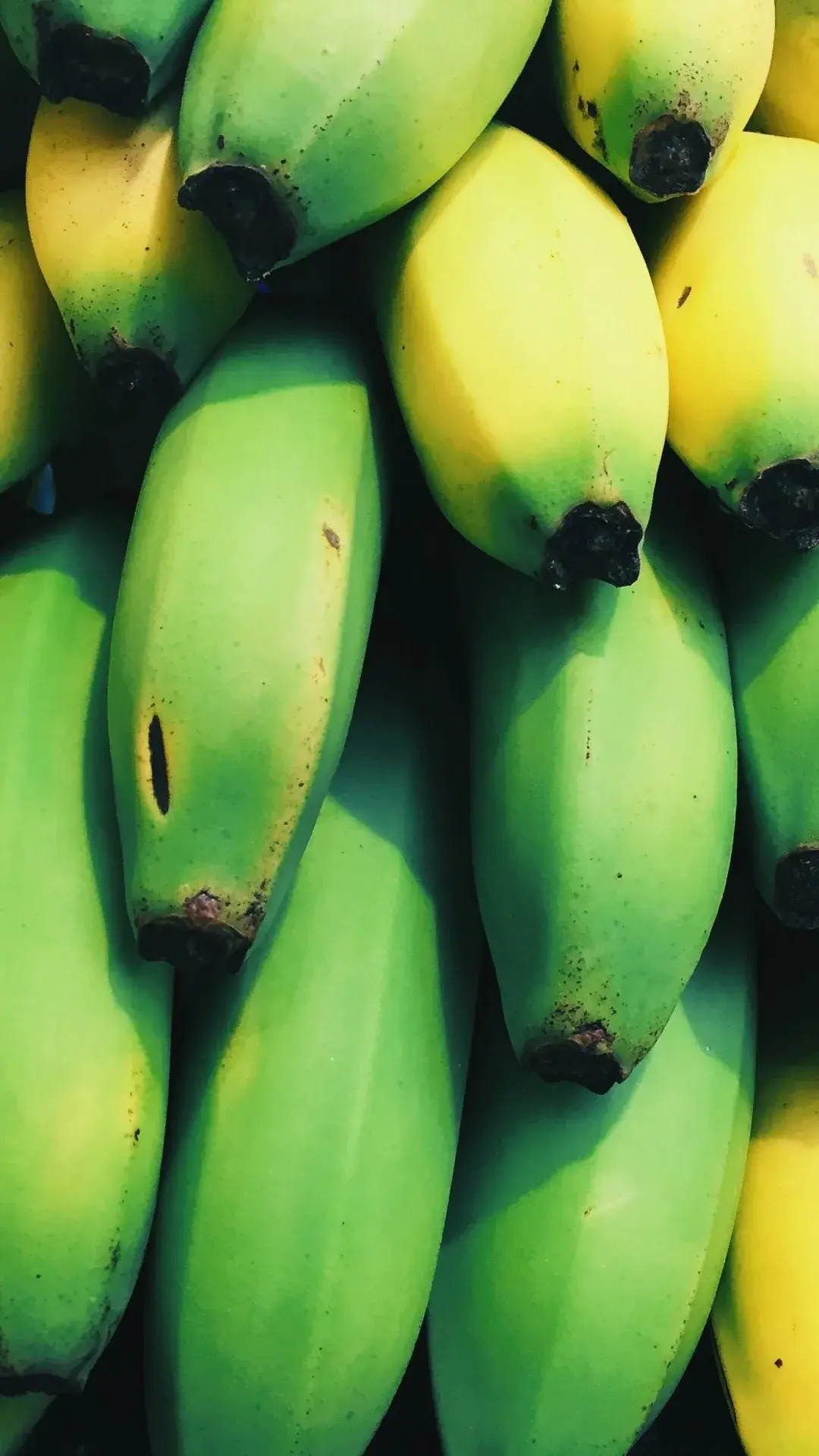 The Benefits of Healthy Eating Habits for Students - Bananas